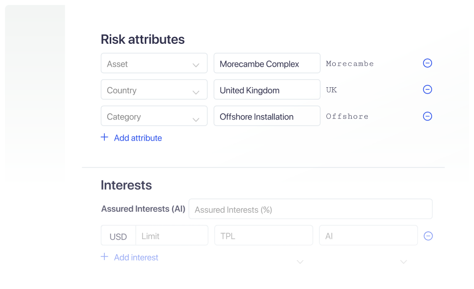 Illustration of the projects for the Reinsurance company